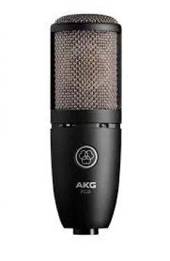 AKG Preception P220