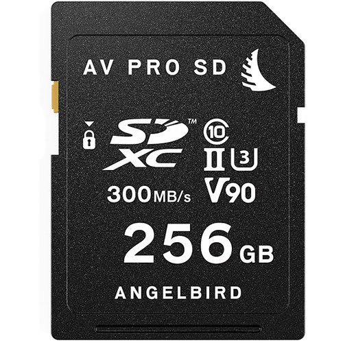 Angelbird 256GB AV Pro