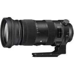 Sigma 60-600mm in Pakistan