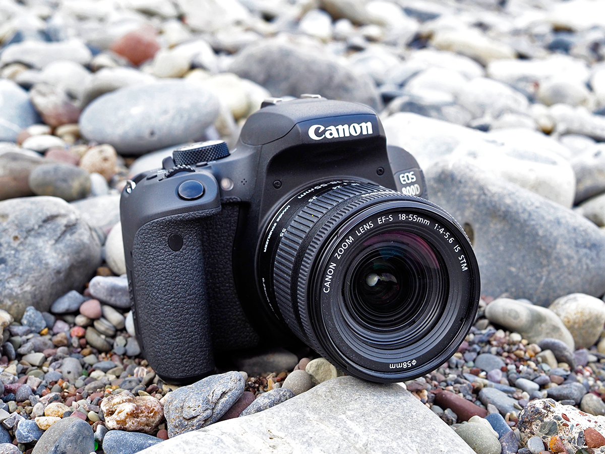 Canon 800D Review