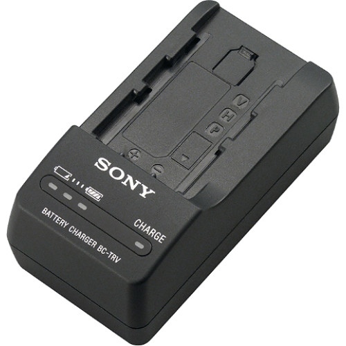 Sony FV100 Battery Charger