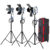 Pro 300w Fresnel Light Tungsten Continuous Light