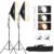 Studio Continuous Softbox Light